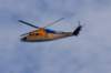 anotherchopper_small.jpg