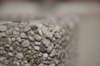 moretexture_small.jpg