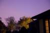 coolsky_small.jpg