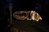 sparklers4_small.jpg