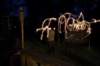 sparklers_small.jpg