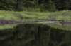 beaverdam_small.jpg