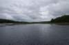 morewhitetrout_small.jpg