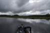 whitetrout_small.jpg