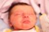 alice013_small.jpg