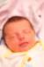 alice018_small.jpg