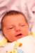 alice019_small.jpg