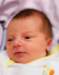 alice020_small.jpg
