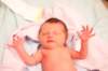 alice021_small.jpg