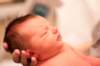 alice024_small.jpg