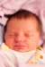 sleepingalice_small.jpg