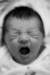 yaaaaaawwwwn_small.jpg