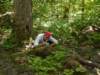 naturestripod_small.jpg