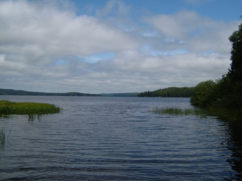 northtealake.jpg