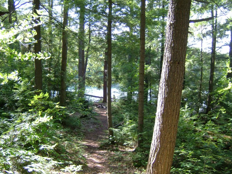 siscolake.jpg