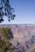 arizona200820_small.jpg