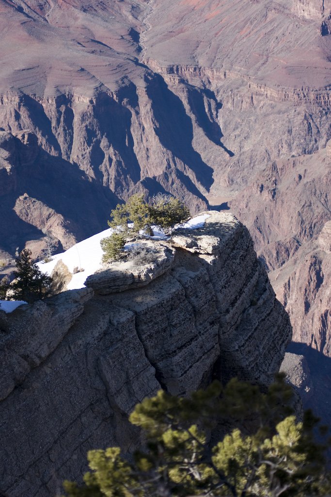 arizona200823.jpg