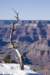 arizona200825_small.jpg