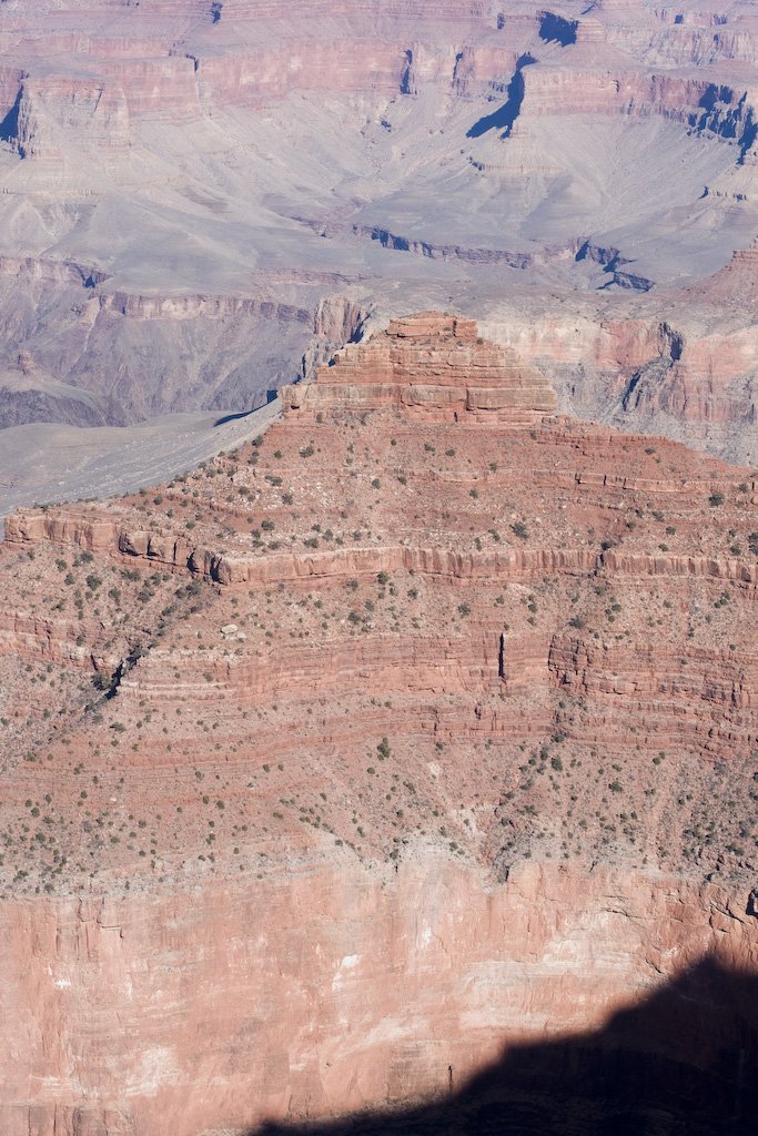 arizona200829.jpg