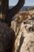 arizona200848_small.jpg