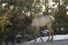 arizona200856_small.jpg