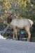 arizona200857_small.jpg