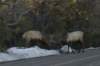 arizona200860_small.jpg