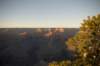 arizona200866_small.jpg