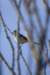 bird_small.jpg