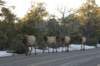 elkparade_small.jpg