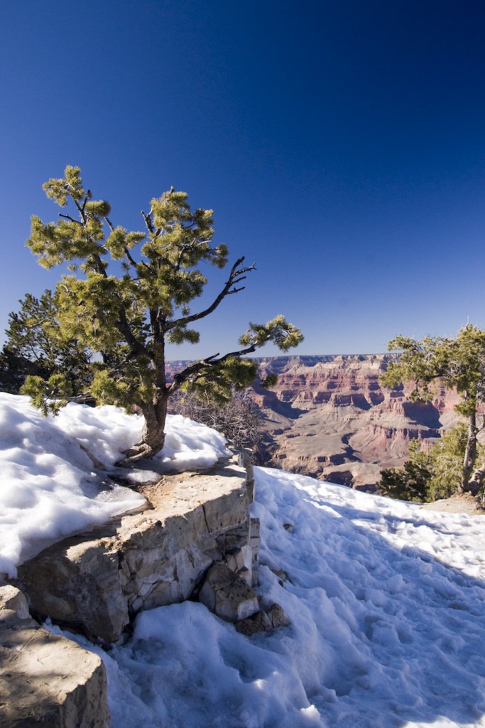 yessnowatthegrandcanyon.jpg