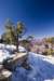 yessnowatthegrandcanyon_small.jpg