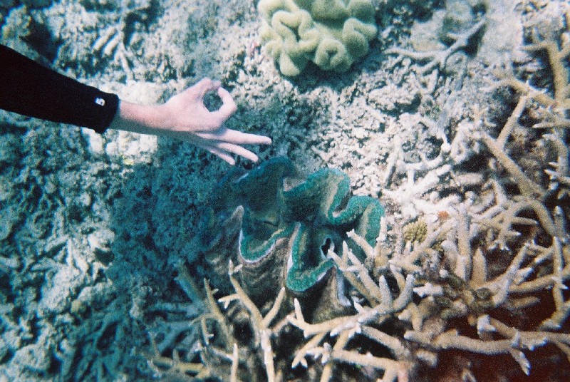 Photograph