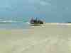 Photo Number 13