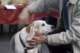 beagles200734_small.jpg