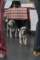 beagles200741_small.jpg