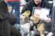 beagles200746_small.jpg