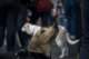 beagles200762_small.jpg