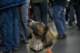 beagles200781_small.jpg