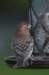 housefinch2_small.jpg