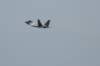 f22raptor2_small.jpg