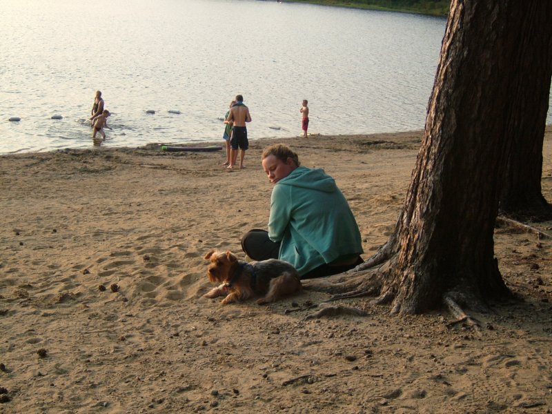 beach.jpg