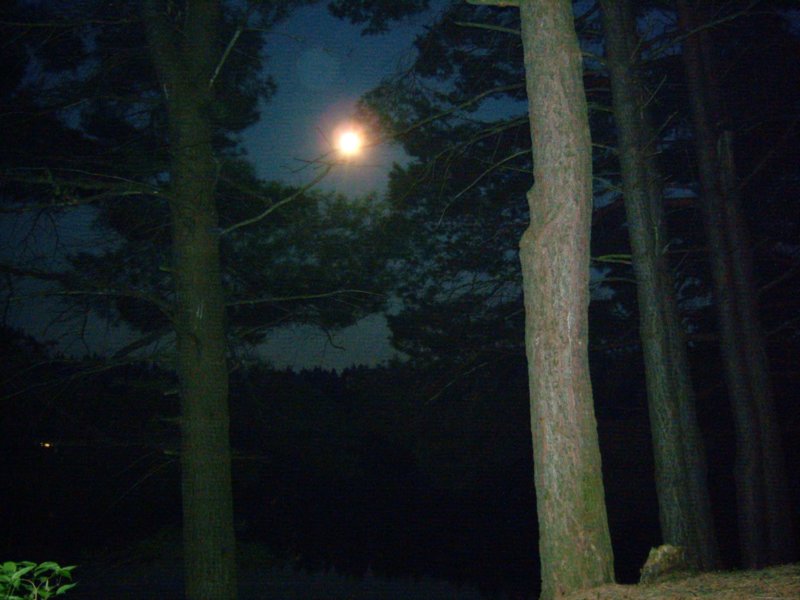 moon.jpg
