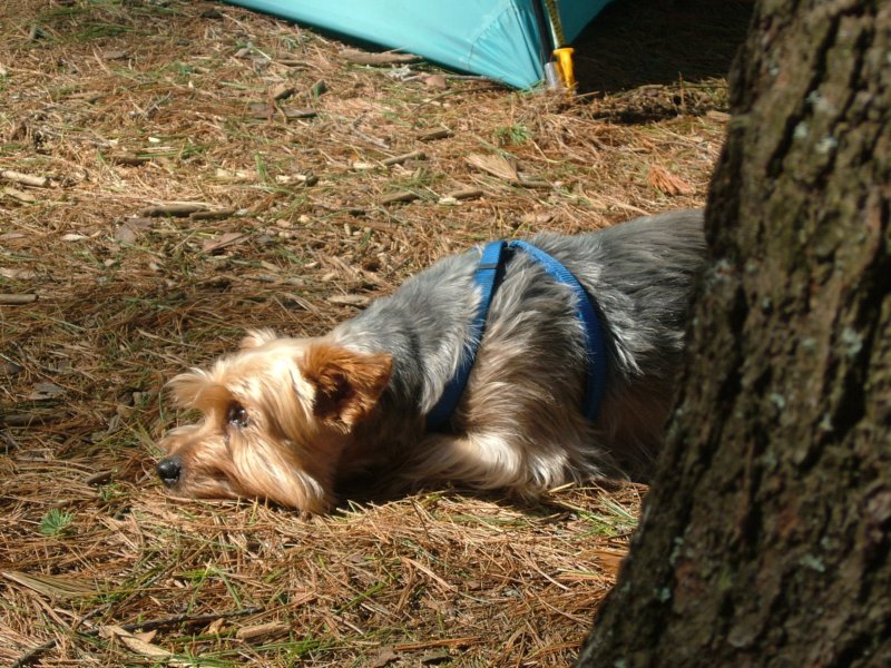 sunbathing.jpg