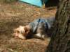 sunbathing_small.jpg