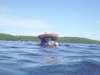 swimming_small.jpg