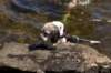 tealake200717_small.jpg