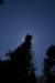 tealake200719_small.jpg