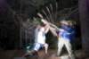 tealake200766_small.jpg