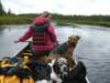 thesoggypaddlehome_small.jpg
